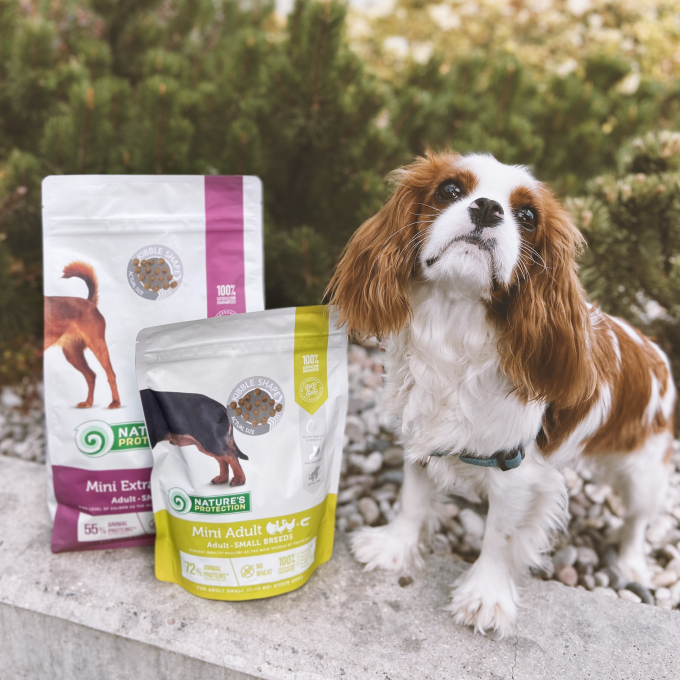 Extra small hotsell kibble dog food